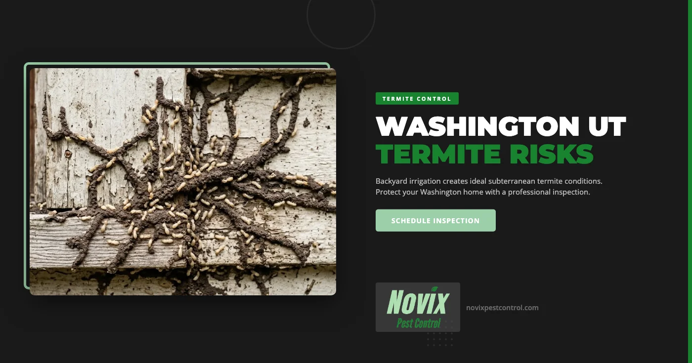 Termite Control for Irrigated Yards in Washington, UT