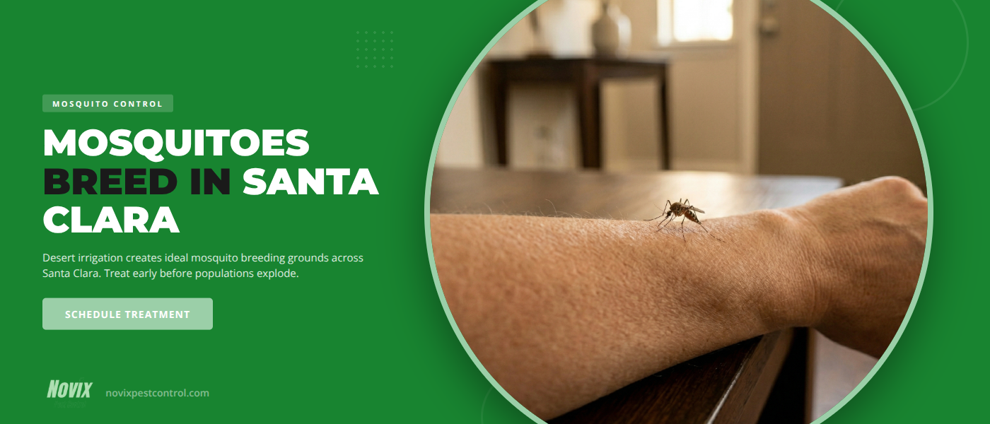 Mosquito Control in Santa Clara, UT: Why Desert Irrigation Means Summer Breeding Grounds | Novix Pest Control