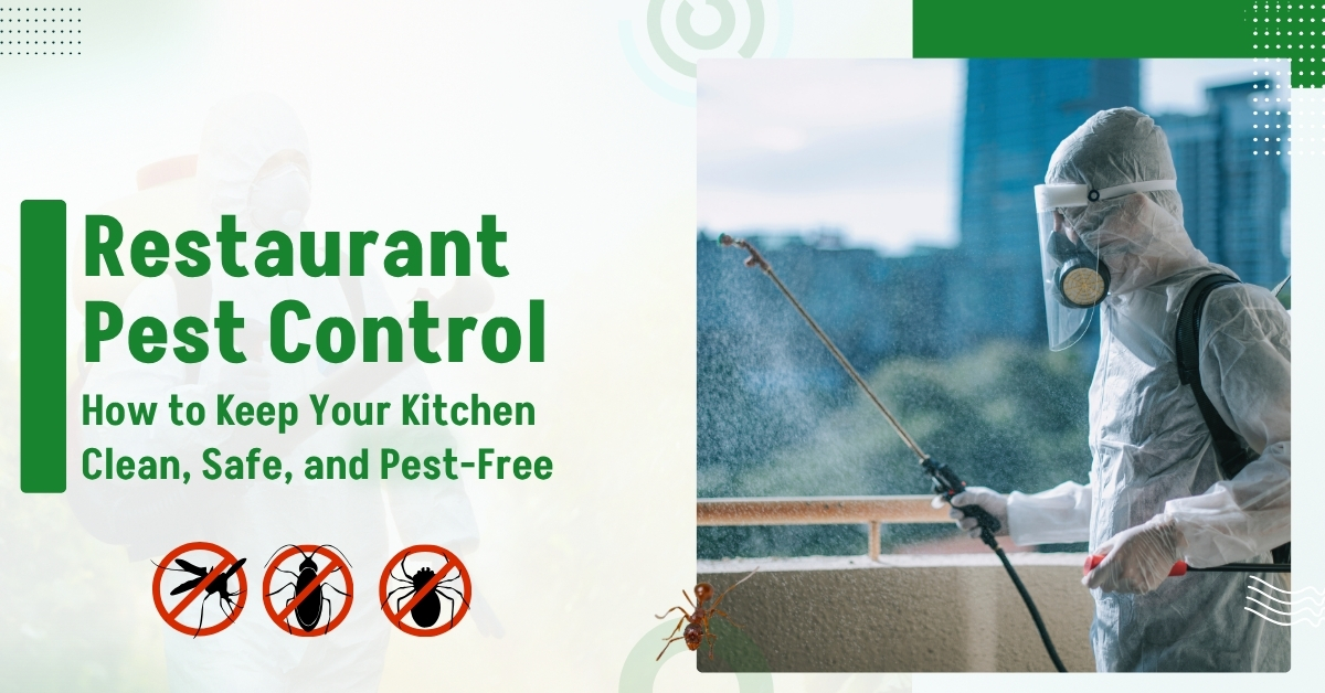 Restaurant Pest Control: How to Keep Your Kitchen Clean, Secure, and Pest-Free | Novix Pest Control