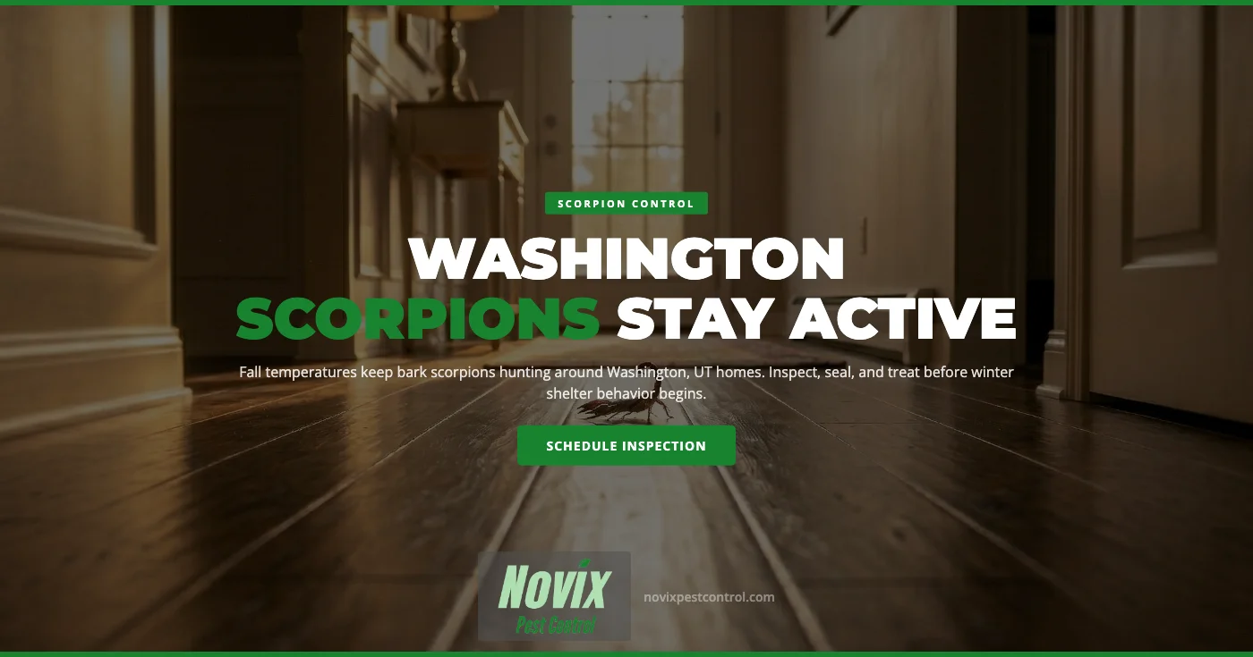 Why Washington, UT Scorpions Stay Active Into Fall — And How to Protect Your Home