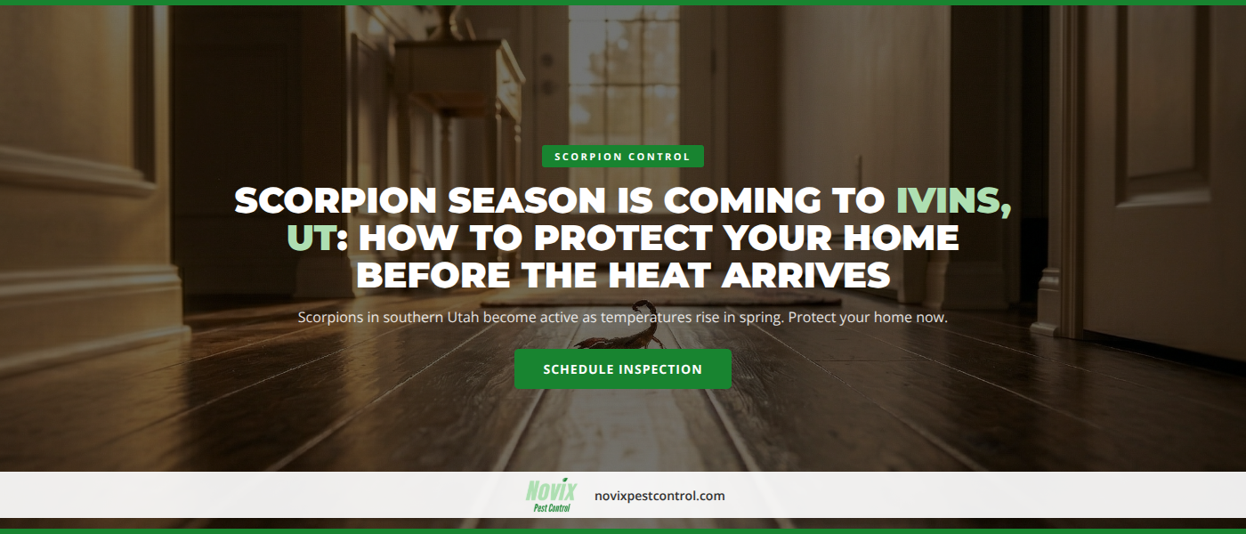 Scorpion Season Is Coming to Ivins, UT: How to Protect Your Home Before the Heat Arrives | Novix Pest Control