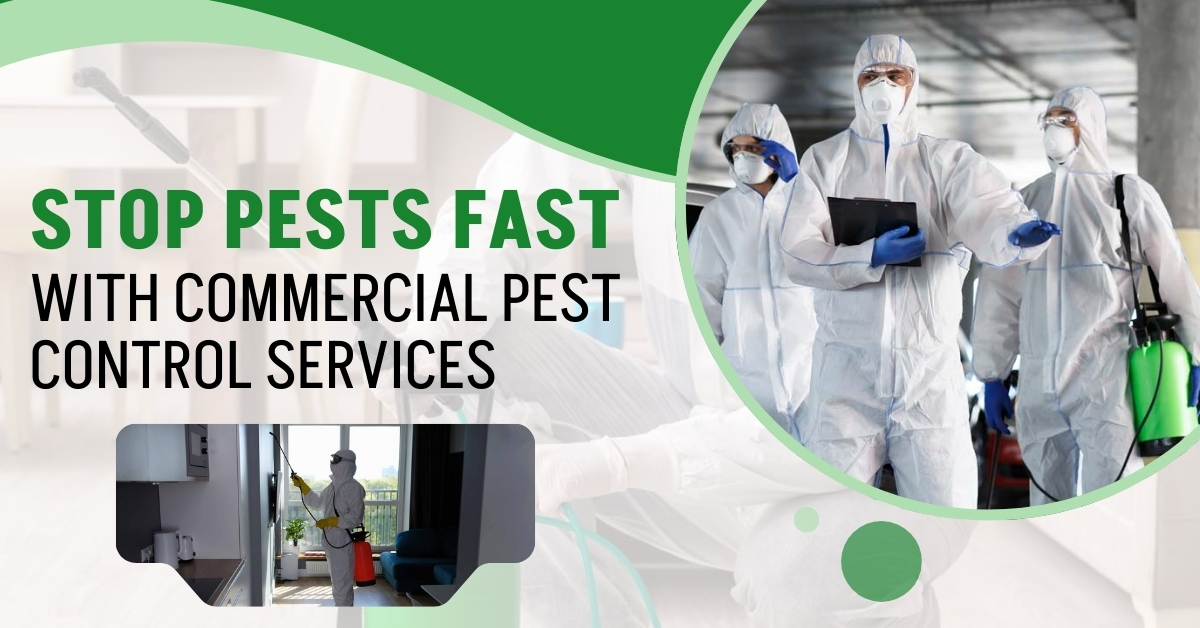 Stop Pests Fast with Commercial Pest Control Services | Novix Pest Control