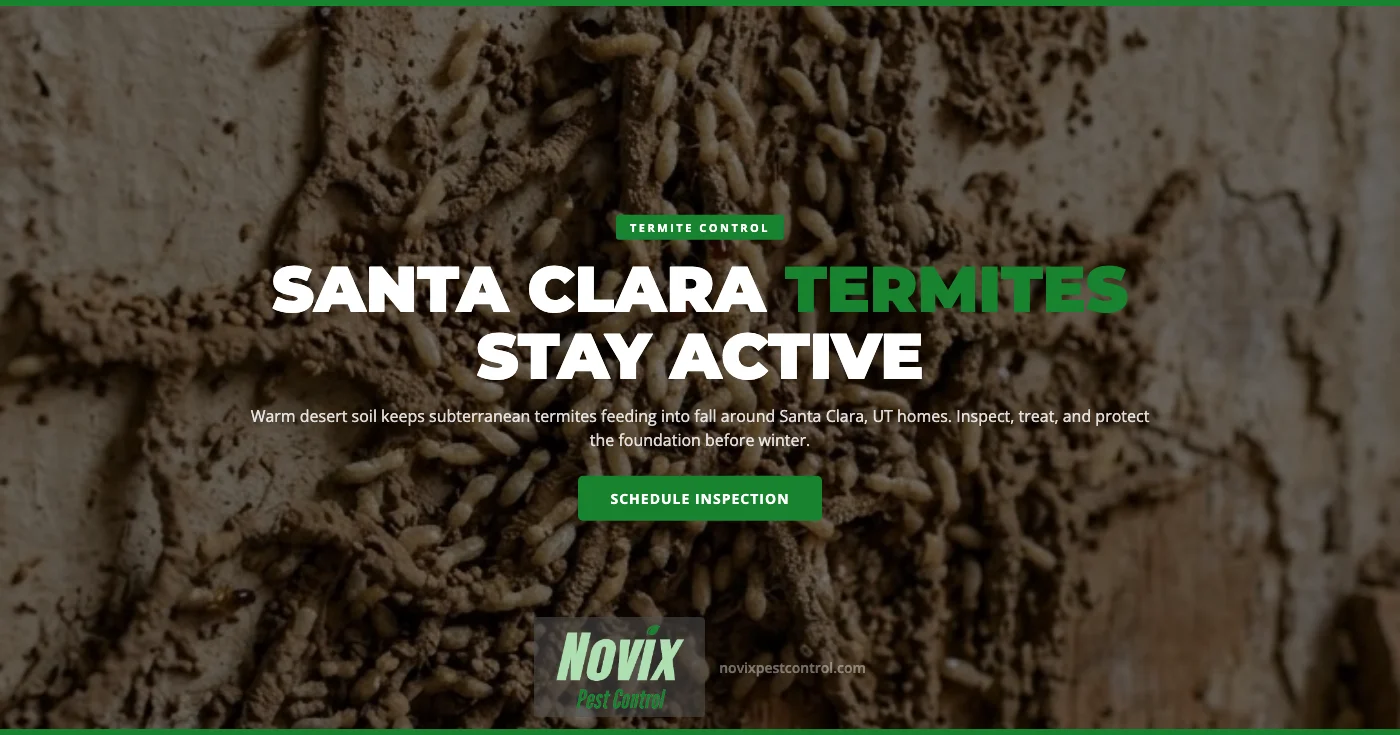 Why Subterranean Termites Stay Active Into Fall in Santa Clara, UT Homes